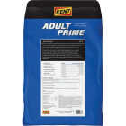 Kent Adult Prime 40 Lb. Mature Adult Dry Dog Food Image 2